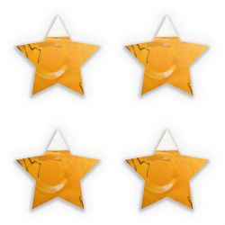 Sticker Set star