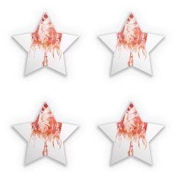 Sticker Set star