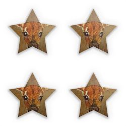 Sticker Set star