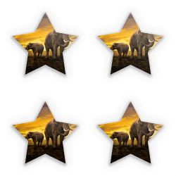 Sticker Set star