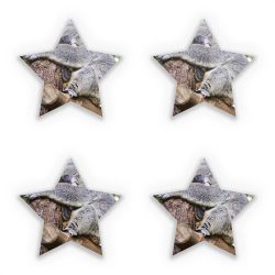 Sticker Set star