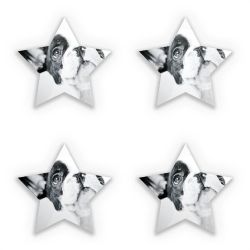 Sticker Set star