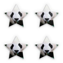 Sticker Set star