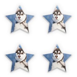 Sticker Set star