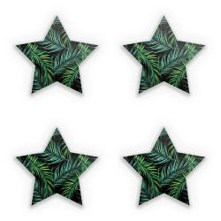 Sticker Set star