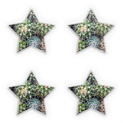 Sticker Set star