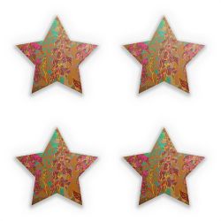 Sticker Set star