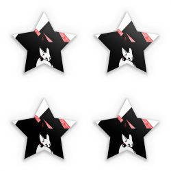 Sticker Set star