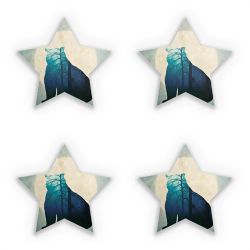 Sticker Set star