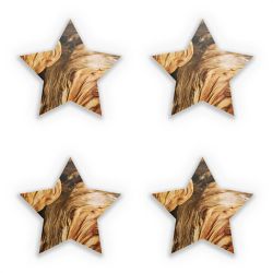 Sticker Set star