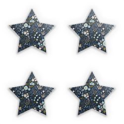 Sticker Set star