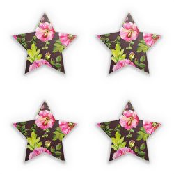 Sticker Set star