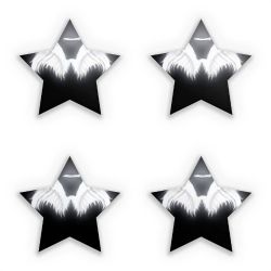 Sticker Set star