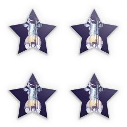 Sticker Set star