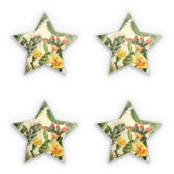 Sticker Set star