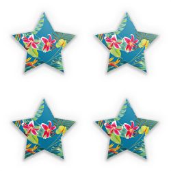 Sticker Set star