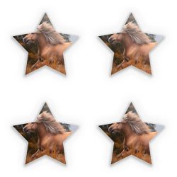 Sticker Set star