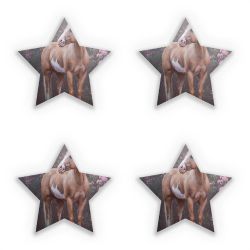 Sticker Set star