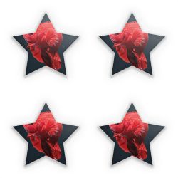 Sticker Set star