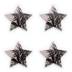 Sticker Set star