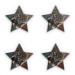 Sticker Set star