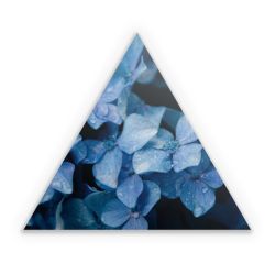 Sticker triangle