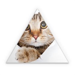 Sticker triangle