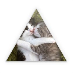 Sticker triangle