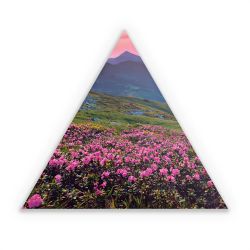 Sticker triangle