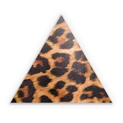 Sticker triangle