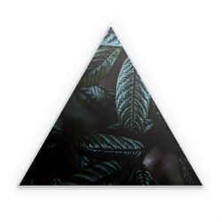 Sticker triangle