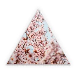 Sticker triangle