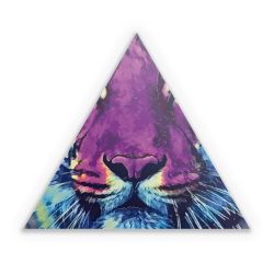 Sticker triangle