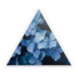 Sticker triangle