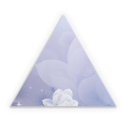 Sticker triangle