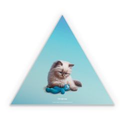 Sticker triangle