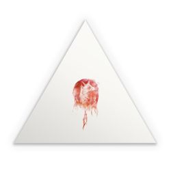 Sticker triangle