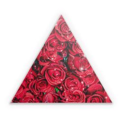 Sticker triangle