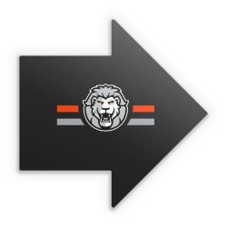 Sticker Pfeil Einzelsticker