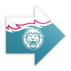 Sticker Pfeil Einzelsticker