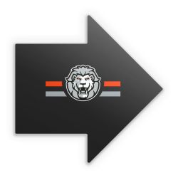 Sticker Pfeil Einzelsticker