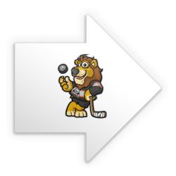 Sticker Pfeil Einzelsticker