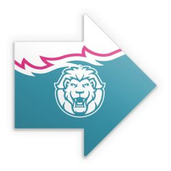 Sticker Pfeil Einzelsticker