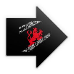 Sticker Pfeil Einzelsticker