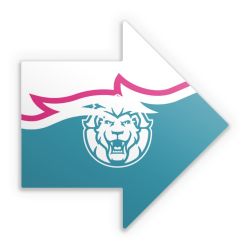 Sticker Pfeil Einzelsticker