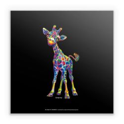 Sticker square