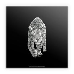 Sticker square