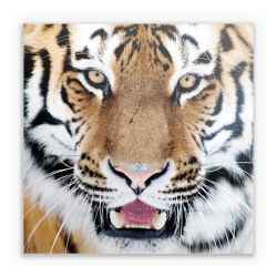 Sticker square