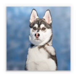 Sticker square