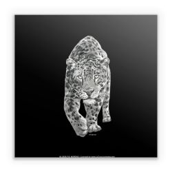 Sticker square
